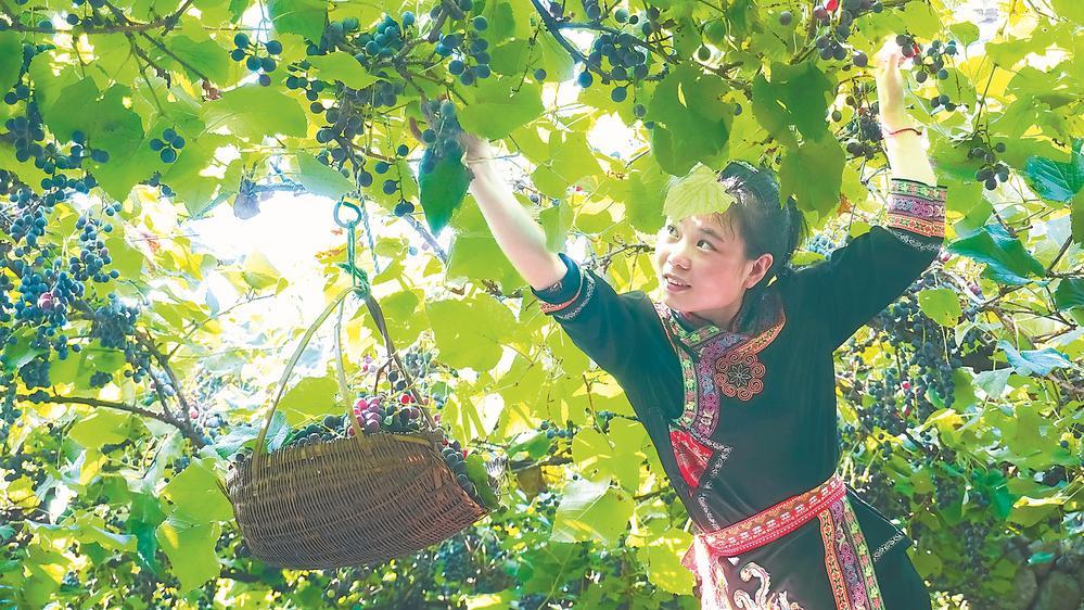 宁德:产业融合深 山海气象新|宁德市_新浪财经_新浪网