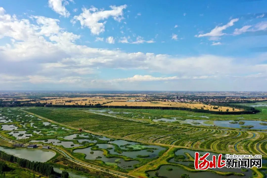 府河河口湿地.河北新闻网记者刘光昱摄