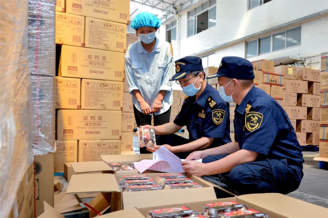 江门海关所属开平海关关员到对出口蛋制品进行属地查验.江关宣 摄