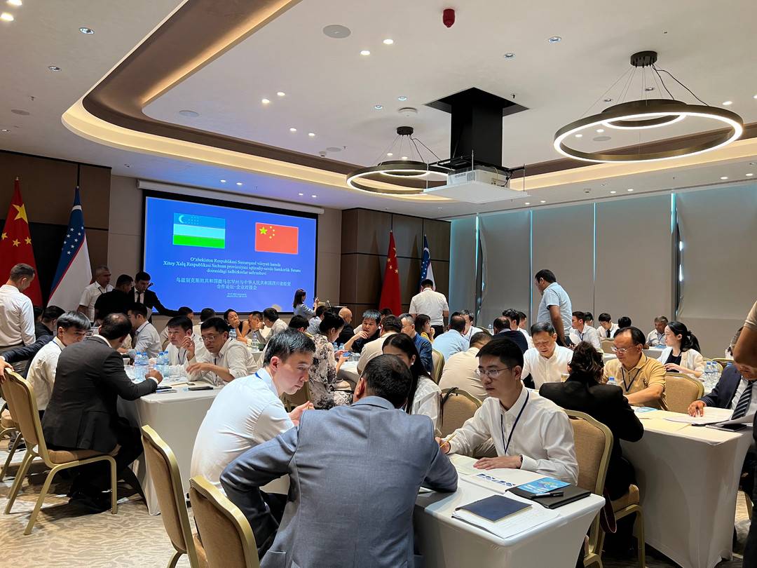 精英社交圈：开启新时代人脉引擎