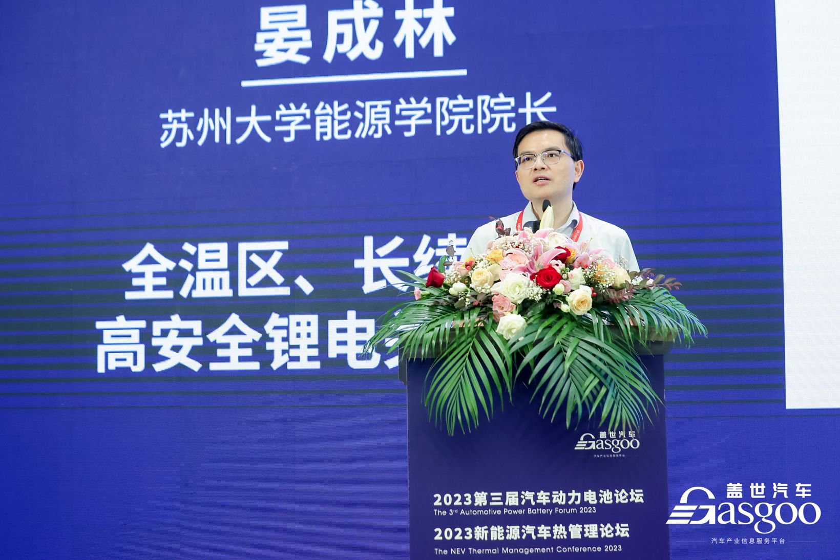 晏成林 | 苏州大学能源学院院长