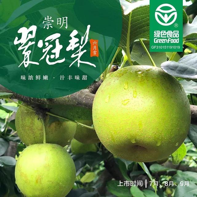 夏天"梨"不开这口甜,崇明翠冠梨预售开启_新浪财经_新浪网