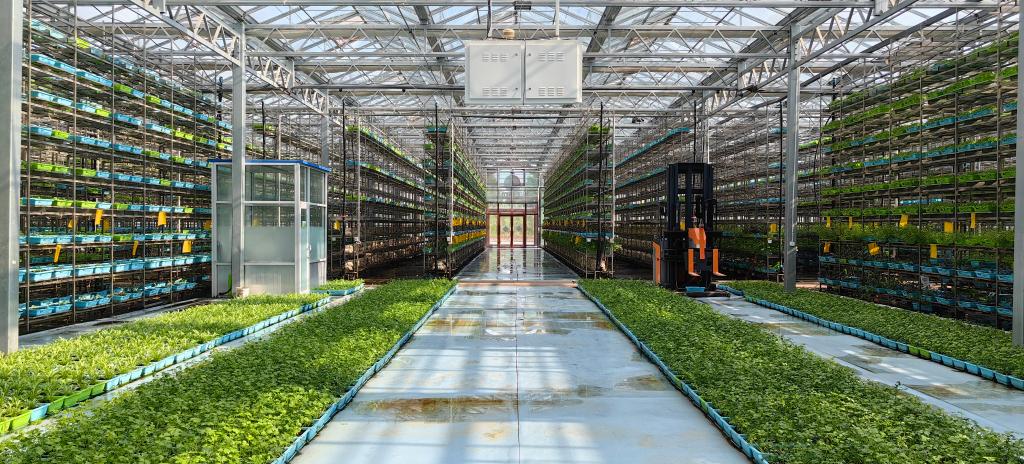 玉泉洼合作社的10层立体栽培温室大棚.新华社记者 陈国峰 摄