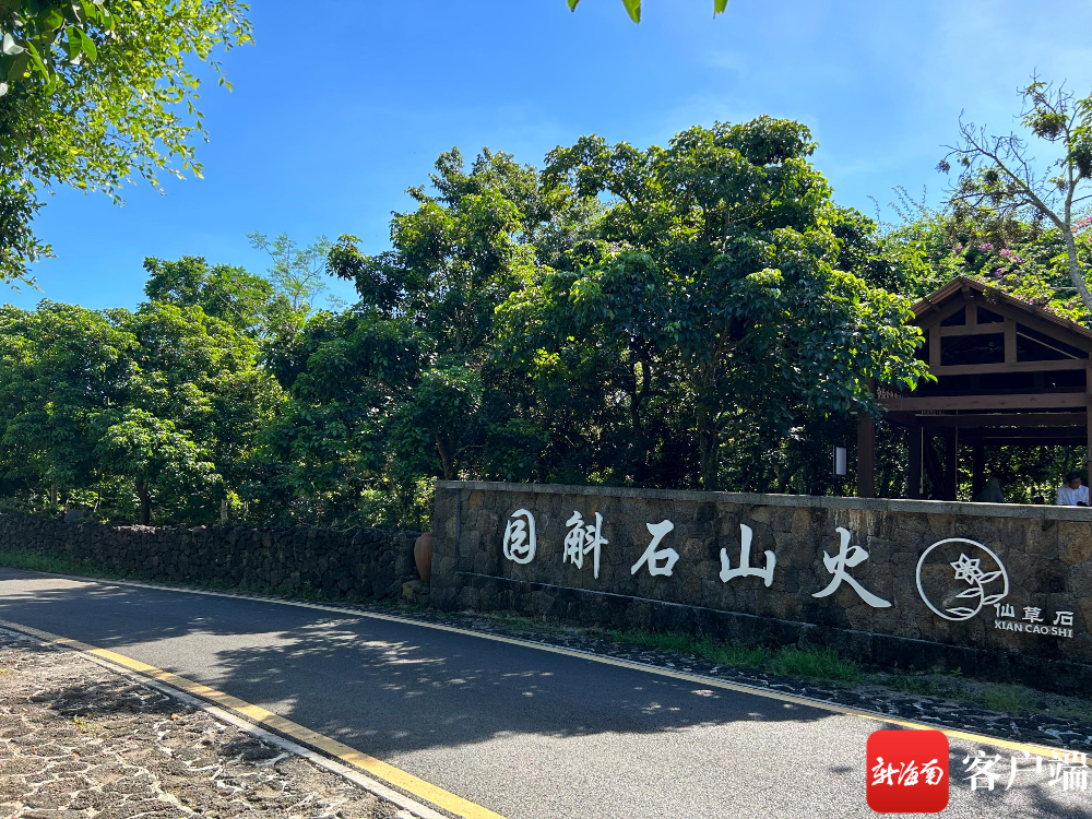 施茶村火山石斛园.记者 易帆 摄