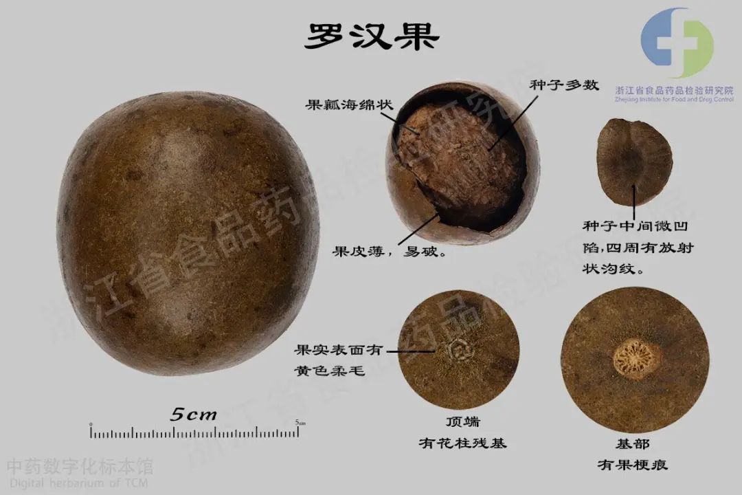 名药名方⑩被称为"神仙果"的罗汉果,有这么多功效!