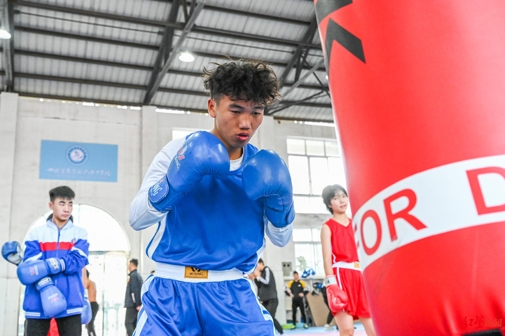 八角笼外的格斗少年回归学校读书已夺多个拳击冠军