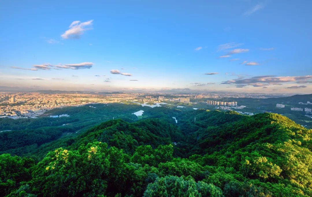 广东省东莞市大屏嶂森林公园毗邻深圳,很适合开展自然教育活动.