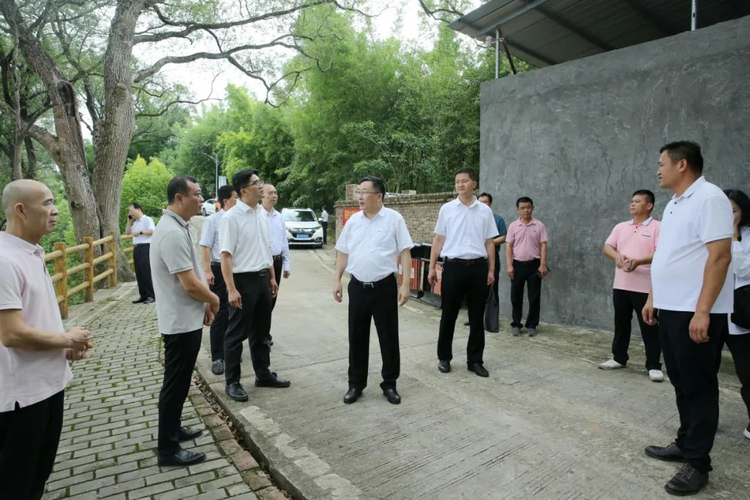 人大代表一行到始兴县太平镇水南村调研.