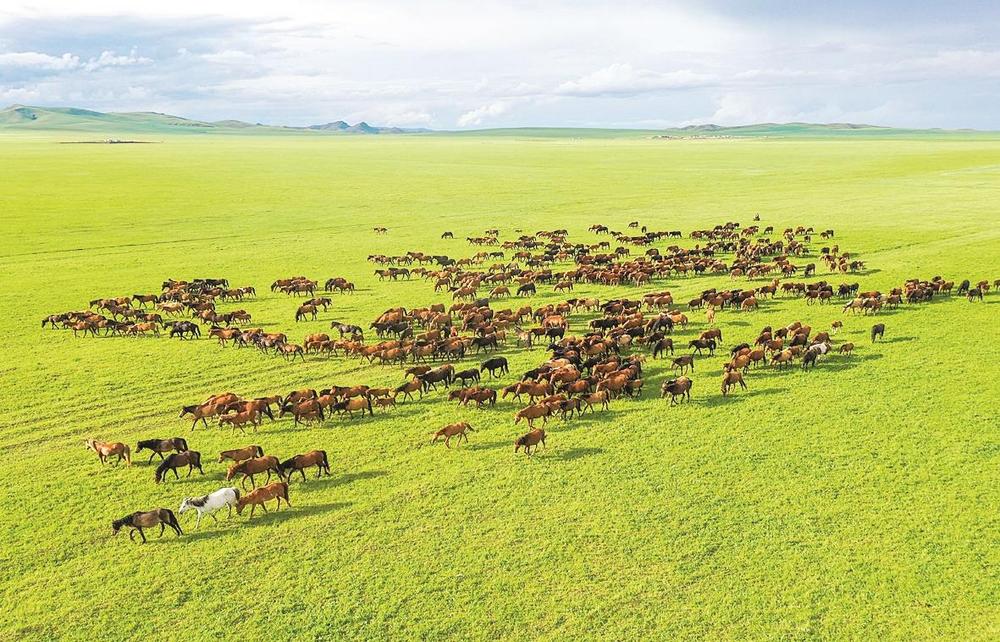 时值夏日,位于内蒙古自治区通辽市霍林郭勒的额仑草原风景如画.