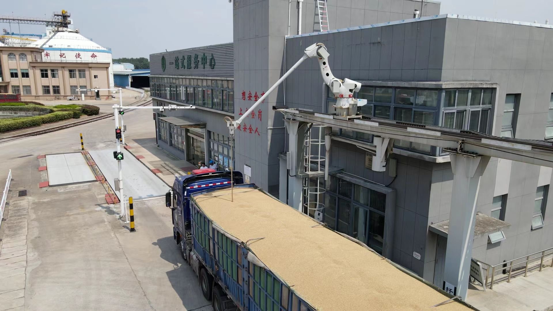 中储粮:多措并举确保夏粮颗粒归仓|夏粮收购_新浪财经_新浪网