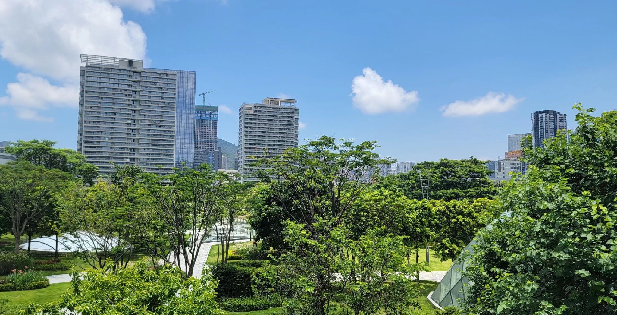 7月7日中午,深圳市南山区南海公园,成片的绿植在阳光照射下更显青翠.