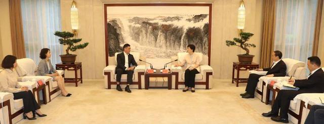 近日,省委副书记,市委书记施小琳会见了德迅集团大中