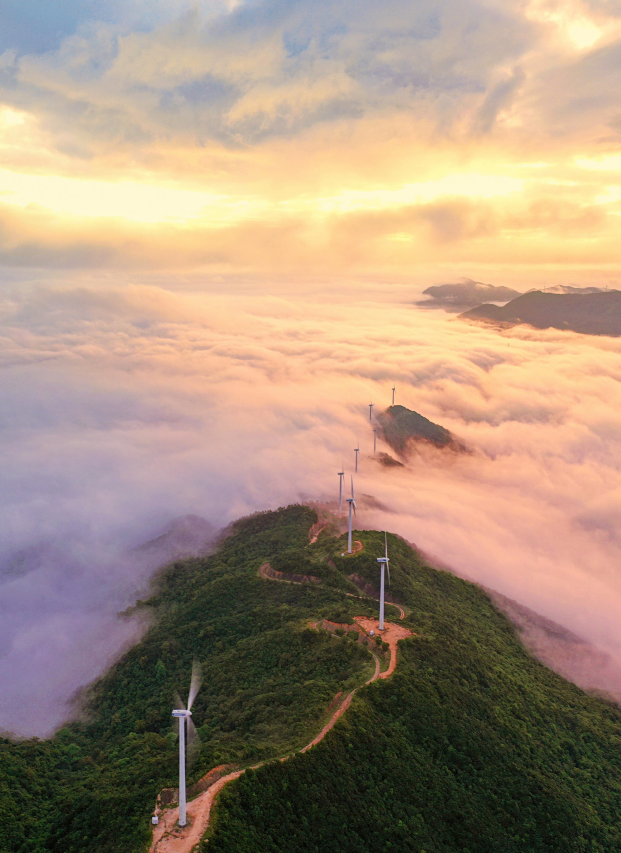 点击解锁!专属大美江门的夏日"多巴胺"|江门市_新浪财经_新浪网