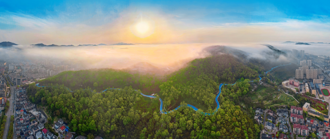 事关舟山景观风貌!最新管理办法出台,明确这几件事>>