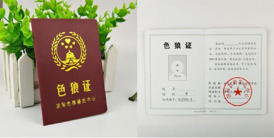 恶搞"证件"成青少年群体"新风尚"?专家:警惕不良文化蔓延