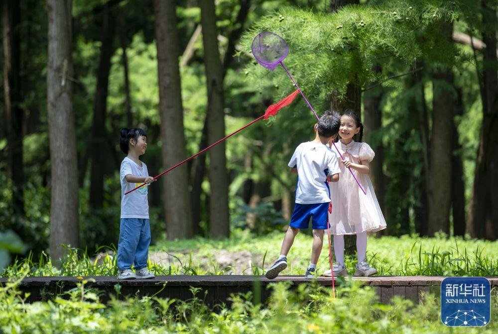 7月9日,小朋友在江苏省兴化市里下河国家湿地公园捉蝴蝶.
