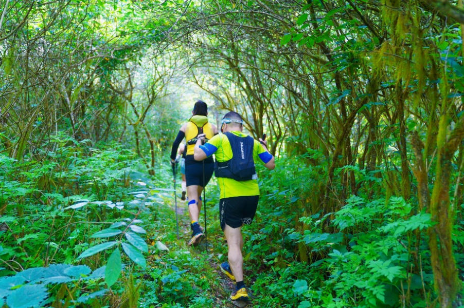 山地越野跑(资料图)