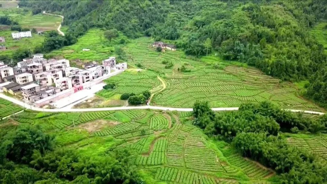 广宁县江屯镇.图源 广宁发布