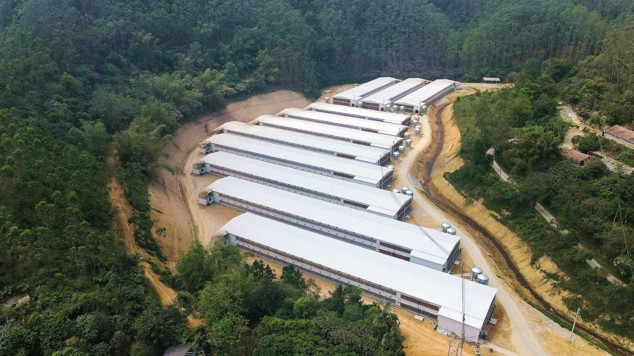 温氏股份良洞云秋高效养殖小区