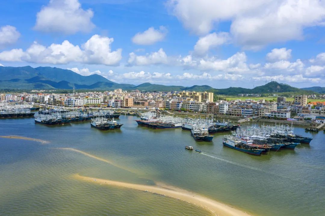 余金富到阳西县溪头镇调研渔港,码头和矿区开发建设|渔业_新浪财经