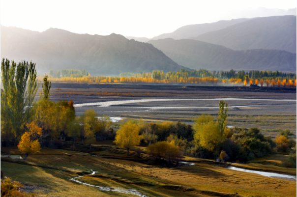 托什干河国家湿地公园.图片来源:阿合奇零距离