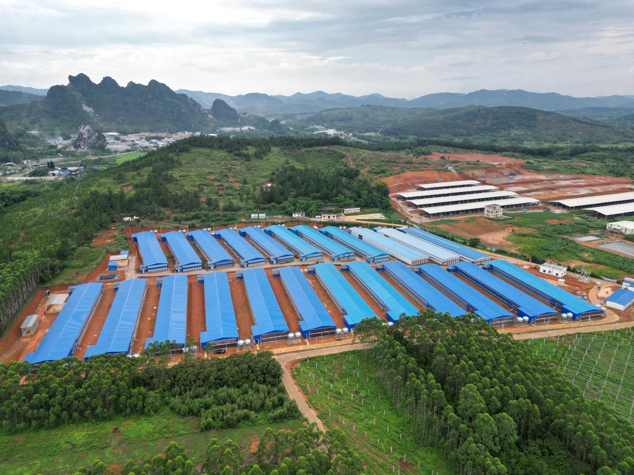 多方共话燕麦产业提质升级