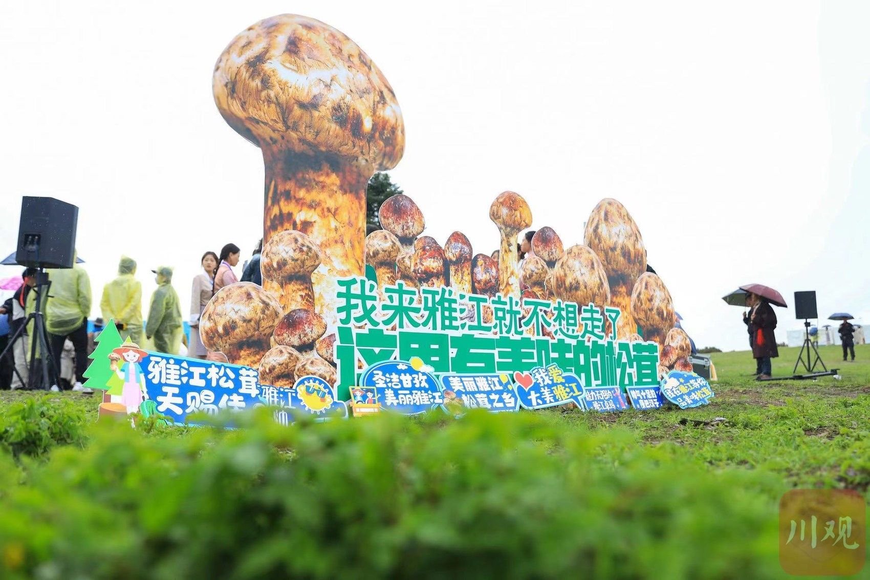 "中国松茸之乡"雅江用上智能背篓,"松茸健康码"实现产品溯源|中国