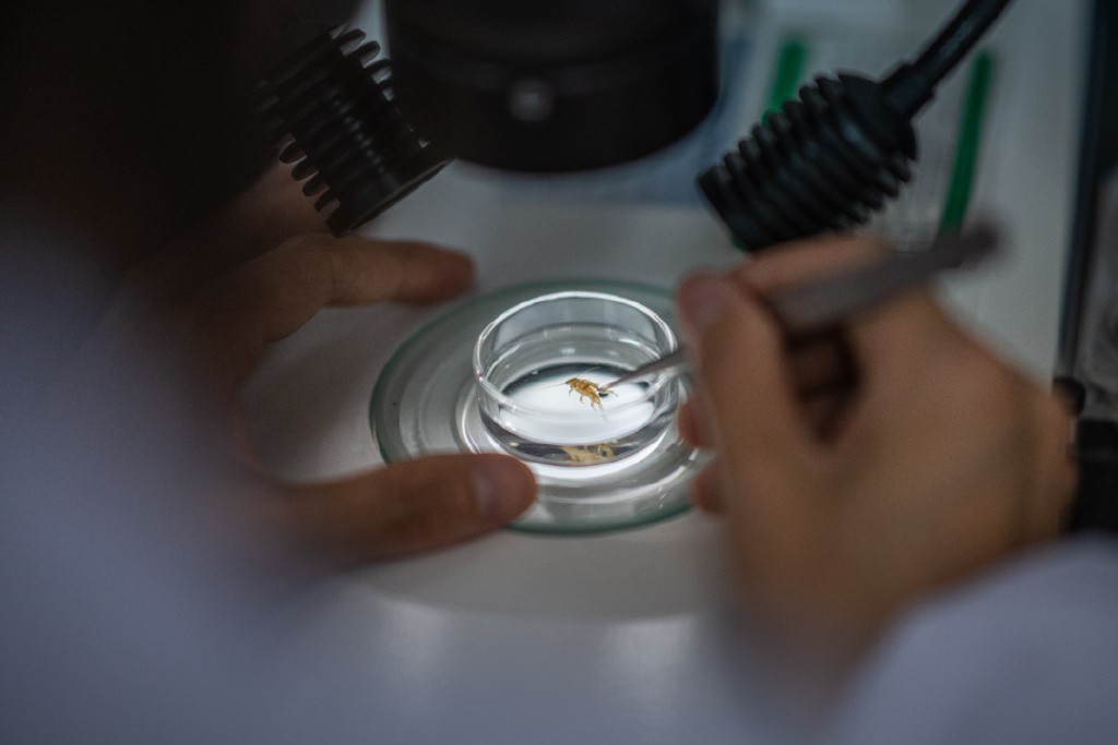 长三角经济总量最大的城市_2022年长三角41座城市,一季度GDP数据统计排名(2)