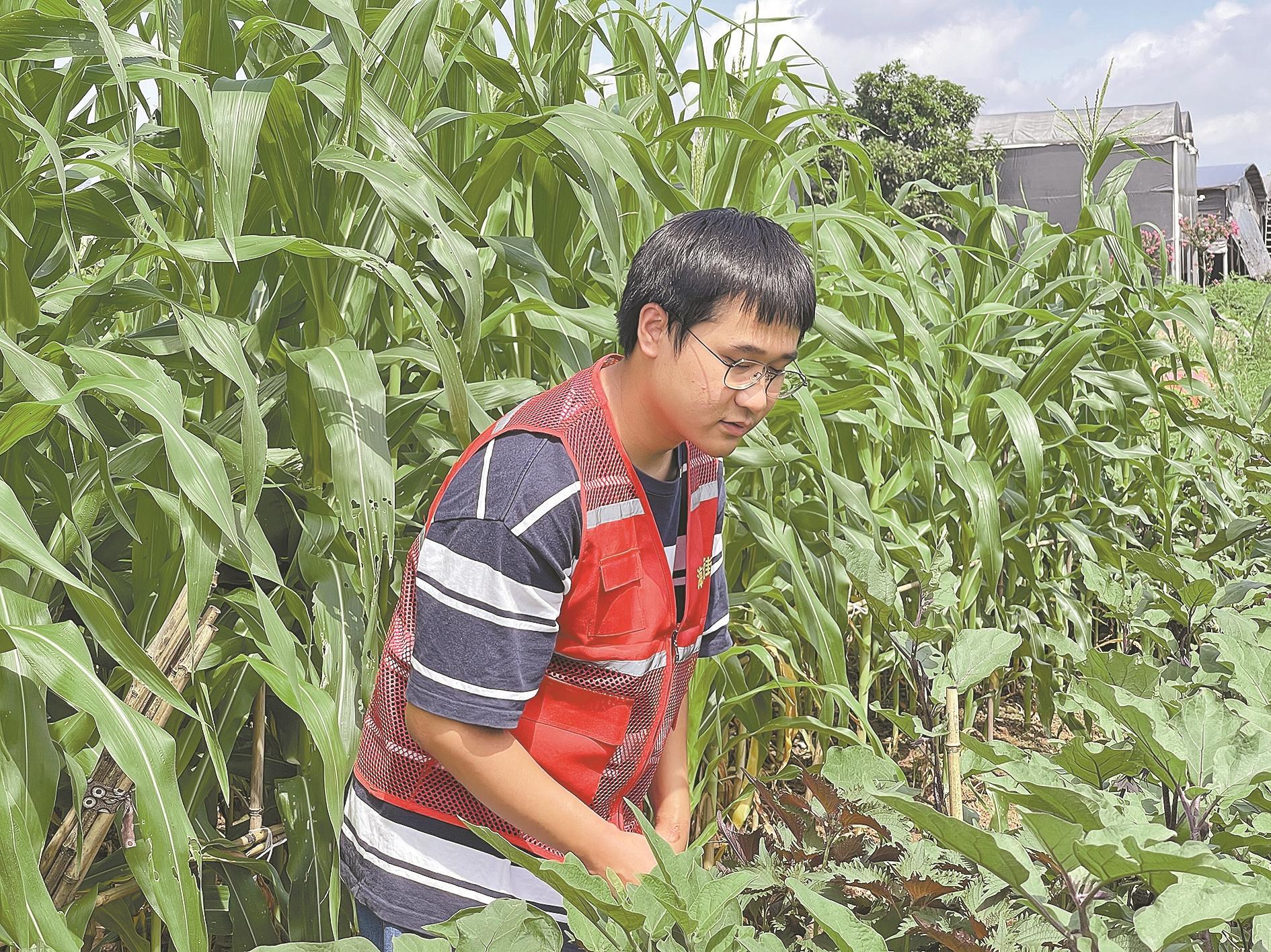羊城晚报全媒体记者 周聪 通讯员 张立 邱锦泉身着红马甲,臂戴红袖套