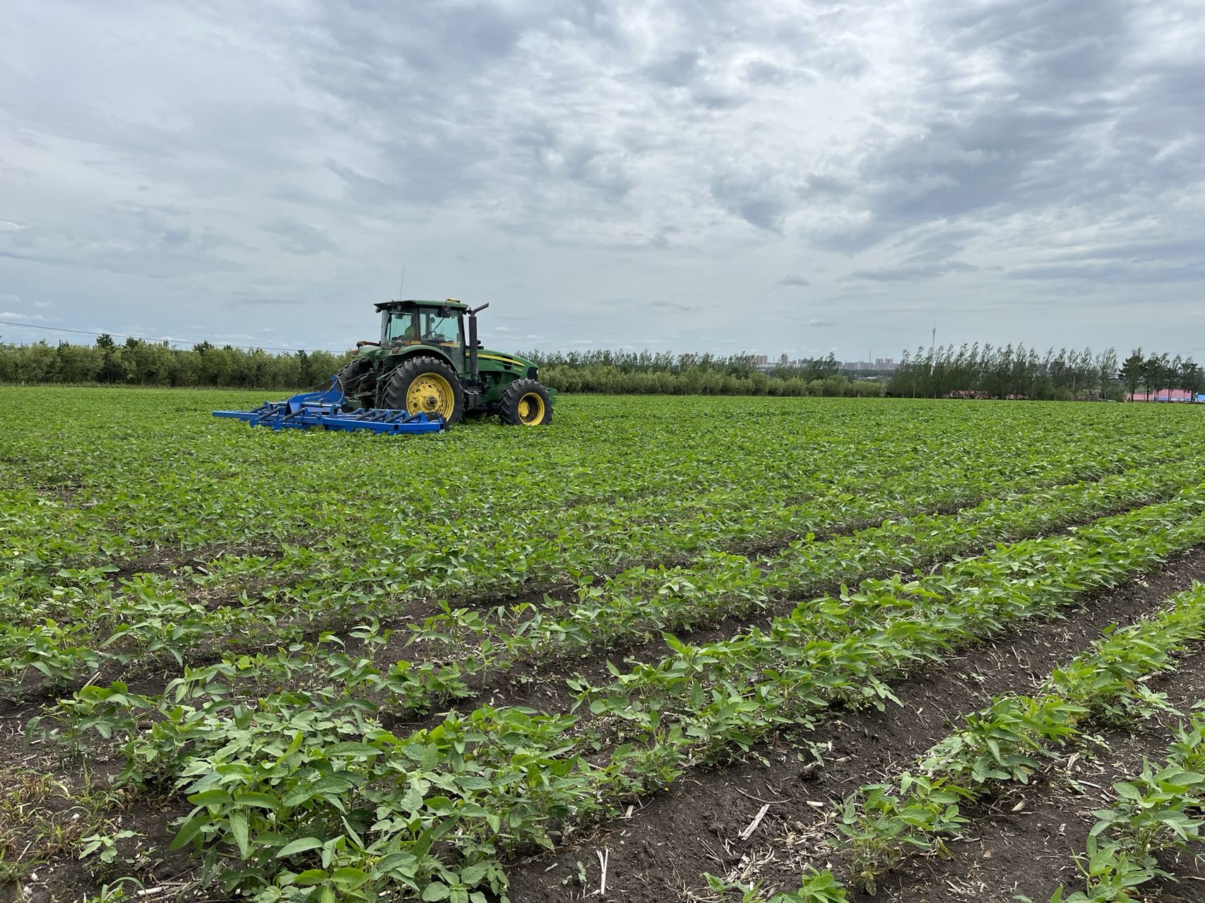 "银期保"合力支持重要农产品规模化种植|大豆_新浪财经_新浪网