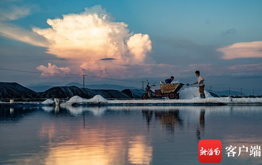 三伏天,天气炎热,海盐易结晶,盐工们忙碌晒盐.记者 刘孙谋 摄