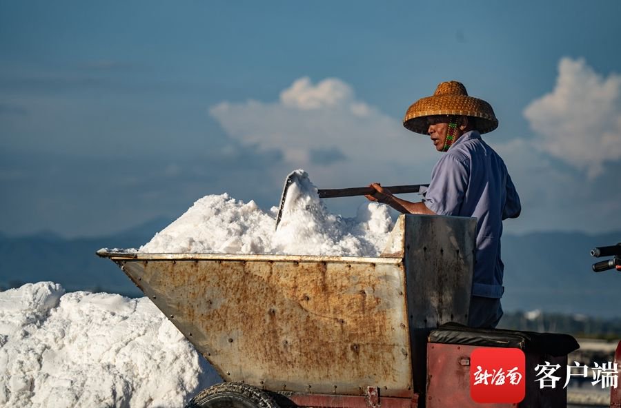 盐工将海盐铲进车里.记者 刘孙谋 摄