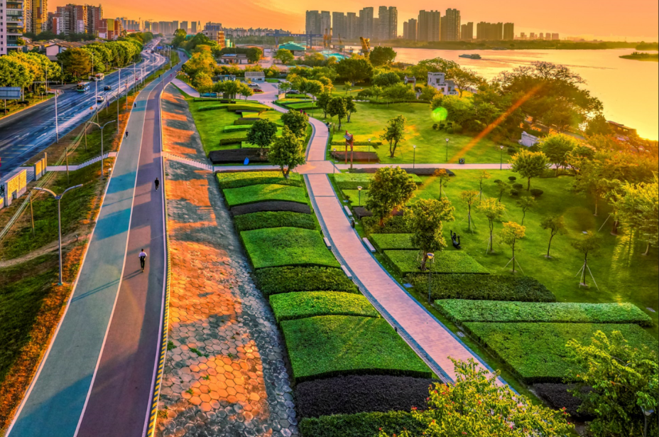 沿着东平路绿道景观带漫步,正成为不少市民休闲娱乐的选择之一.