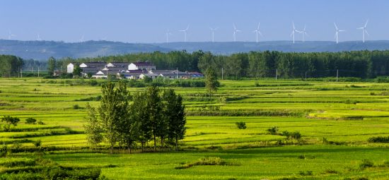 【文明村镇巡礼】来安县施官镇:携手共建 绘就文明底色|志愿服务_新浪