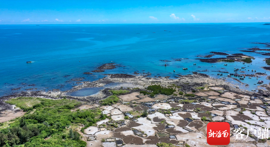 儋州市峨蔓镇盐丁村,海水,火山岩,盐田,海防林形成不同色彩的风景.