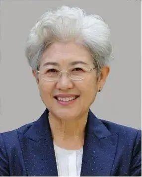 第十三届全国人大外事委员会副主任委员,中华人民共和国外交部副部长
