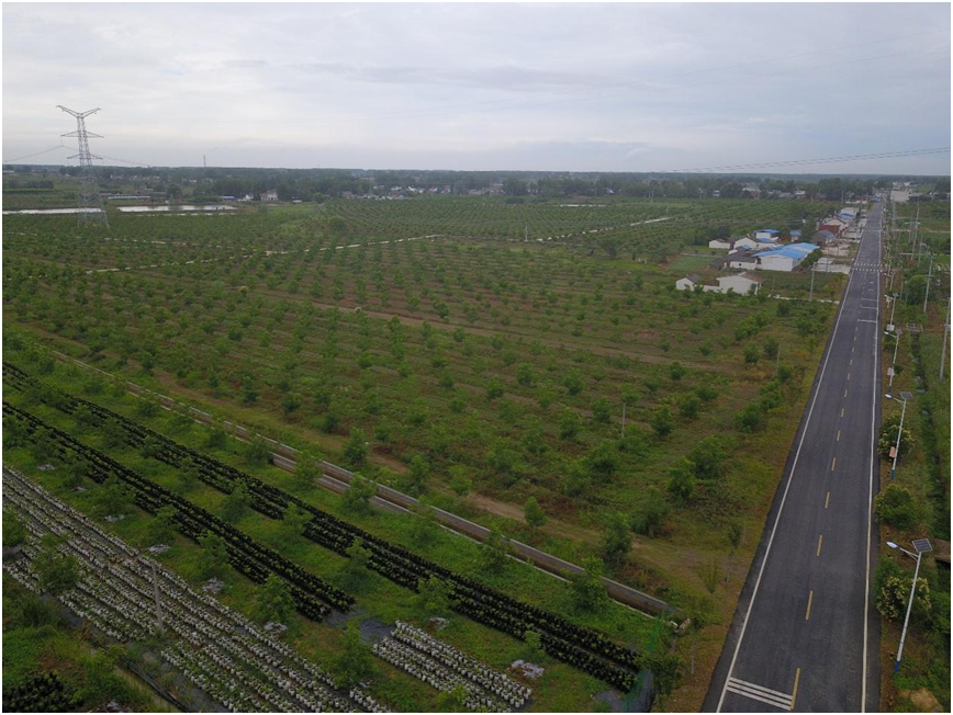 肥东县白龙镇三产融合 村企联建 产业发展带动乡村振兴