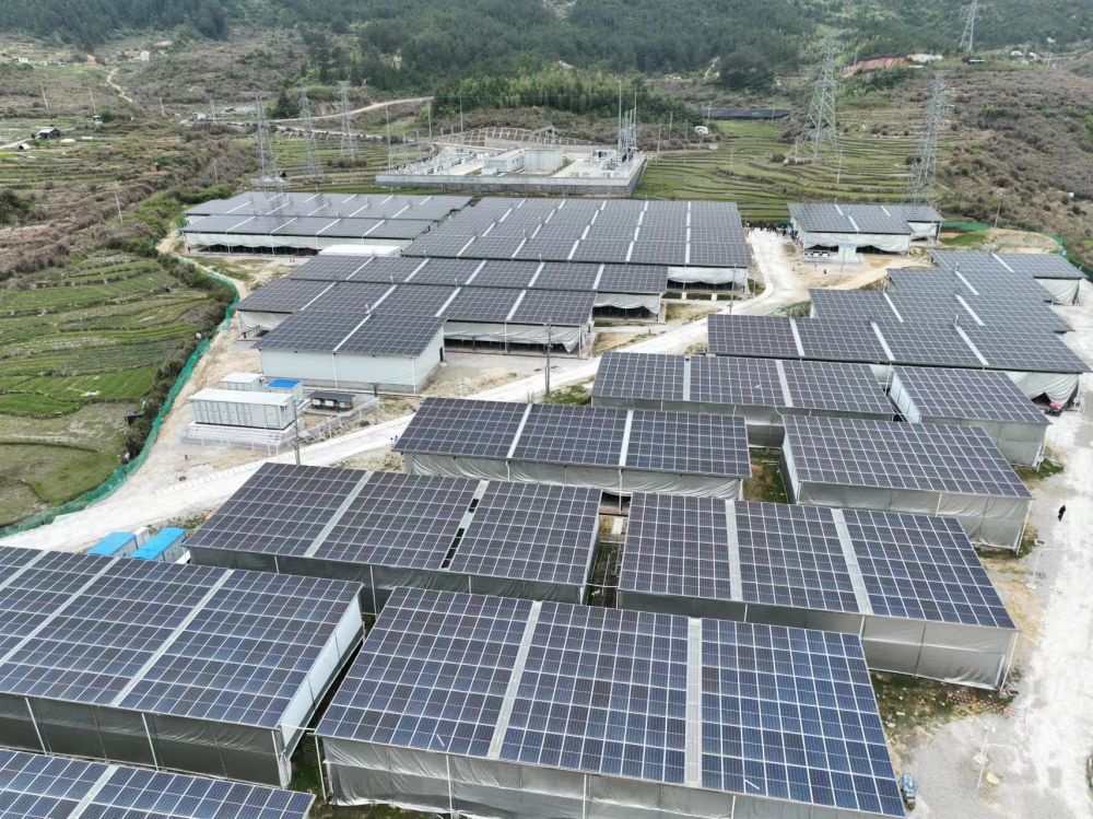 图为成片的光伏菇棚