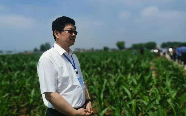 专访梅旭荣:极端天气更加频繁,旱地农业应该如何应对?