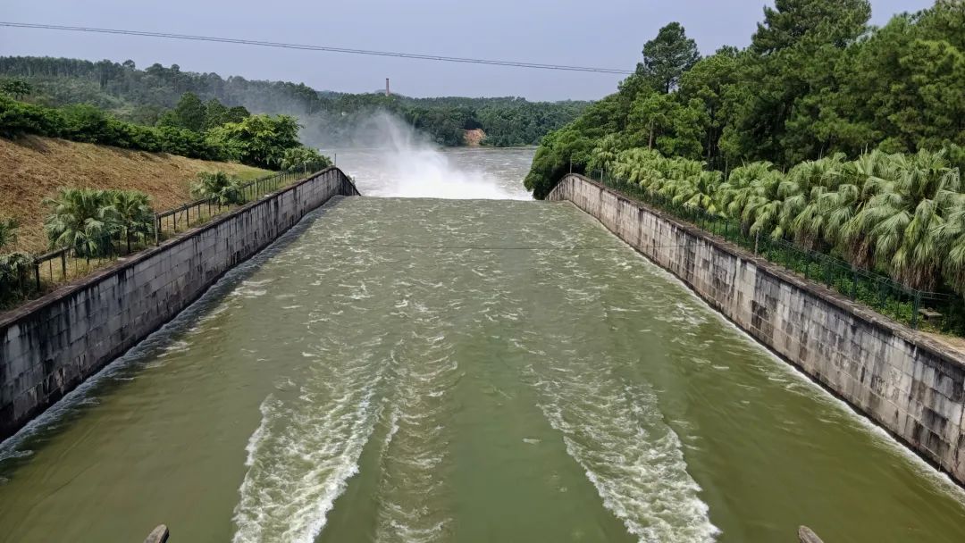 刚刚!鹤地水库今年首次以每秒500立方米流量泄洪