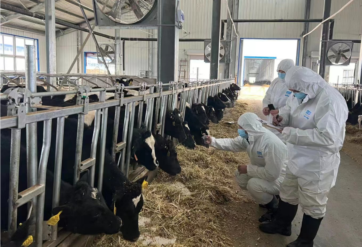 阳光农险助力牡丹江垦区打造"中国奶仓"