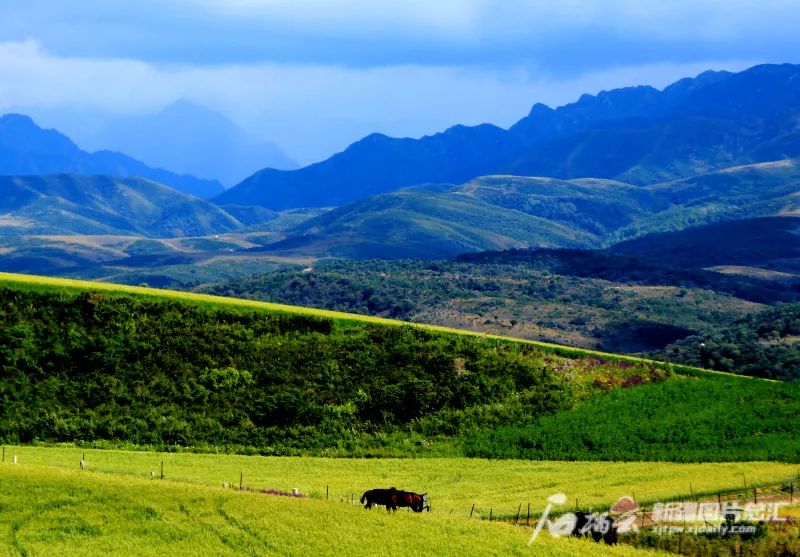 7月11日拍摄的裕民县巴尔鲁克山区田野风光.