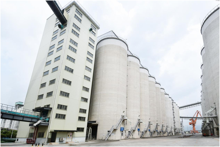 深圳面粉位于东莞的小麦筒仓库