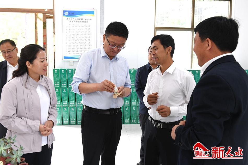麦积区智慧政务服务中心,清水县黄门镇马什村100兆瓦农光储一体电站