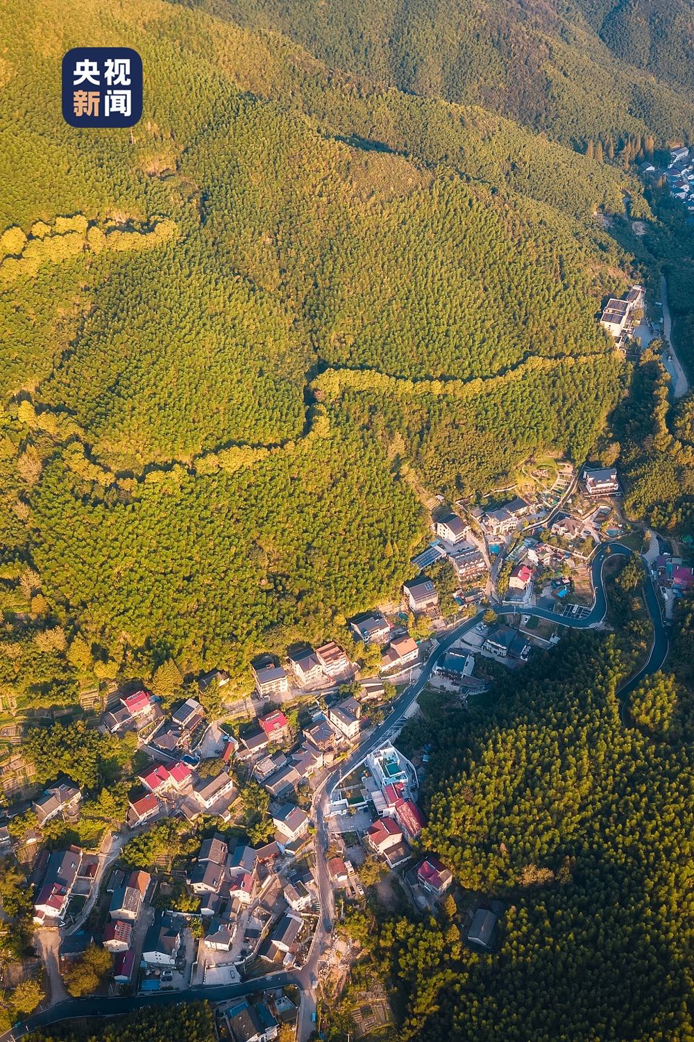 因修竹如海,清泉不竭,莫干山七,八月平均温度仅24.1℃,早晚尤为凉爽.