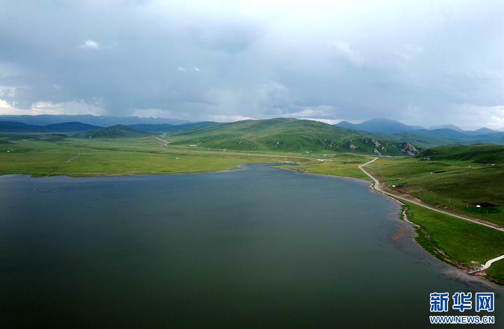 夏日尕海湖.新华网王生元摄