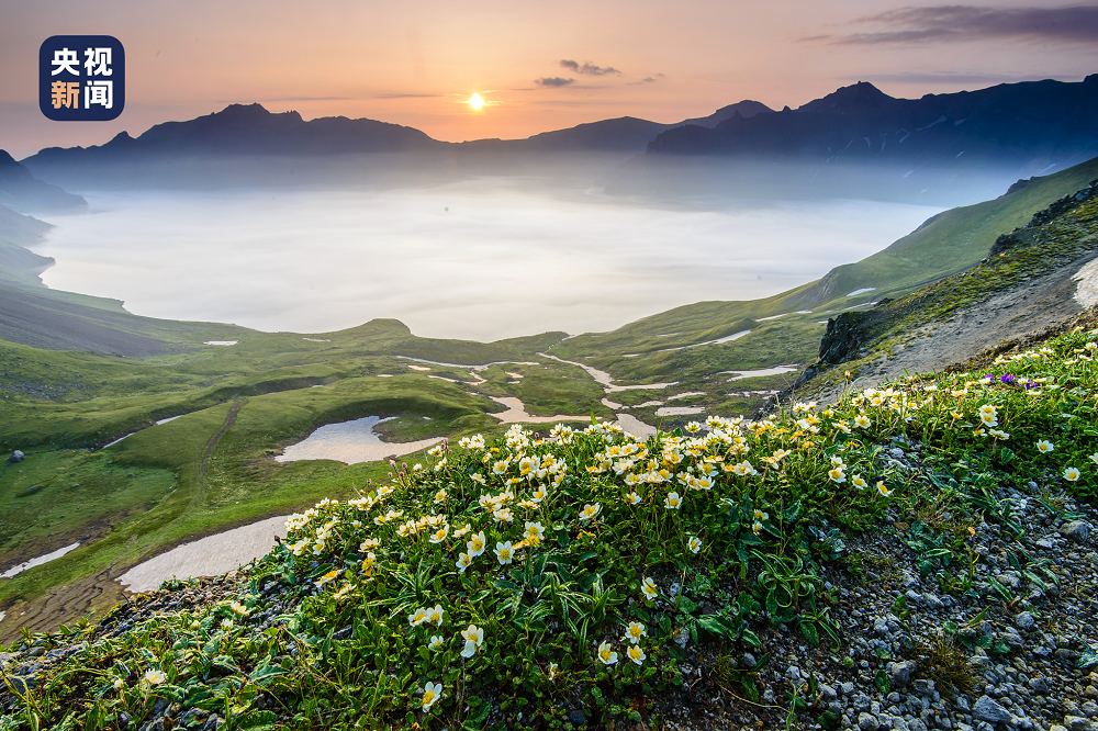 长白山上的花海与日出
