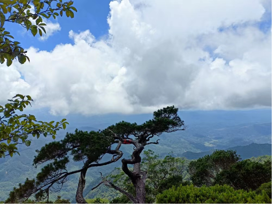 图为五指山山顶俯视图