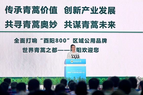 中共酉阳县委书记祁美文致辞.主办方供图 华龙网发