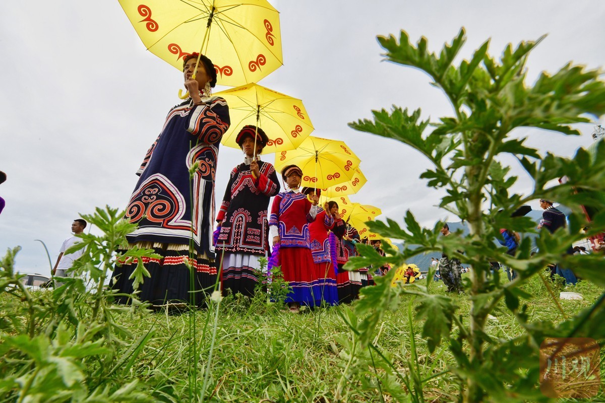 太热闹了!凉山彝族火把节今日在普格县拉开序幕_新浪财经_新浪网